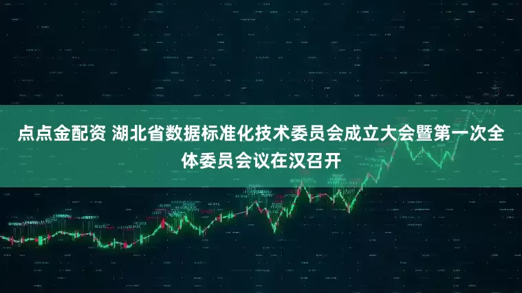 點(diǎn)點(diǎn)金配資 湖北省數(shù)據(jù)標(biāo)準(zhǔn)化技術(shù)委員會(huì)成立大會(huì)暨第一次全體委員會(huì)議在漢召開