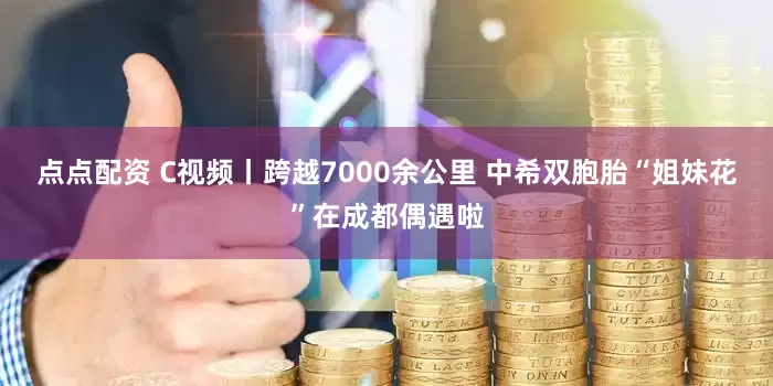 點點配資 C視頻丨跨越7000余公里 中希雙胞胎“姐妹花”在成都偶遇啦