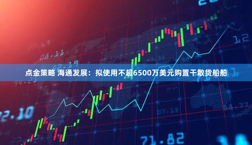 點金策略 海通發展：擬使用不超6500萬美元購置干散貨船舶