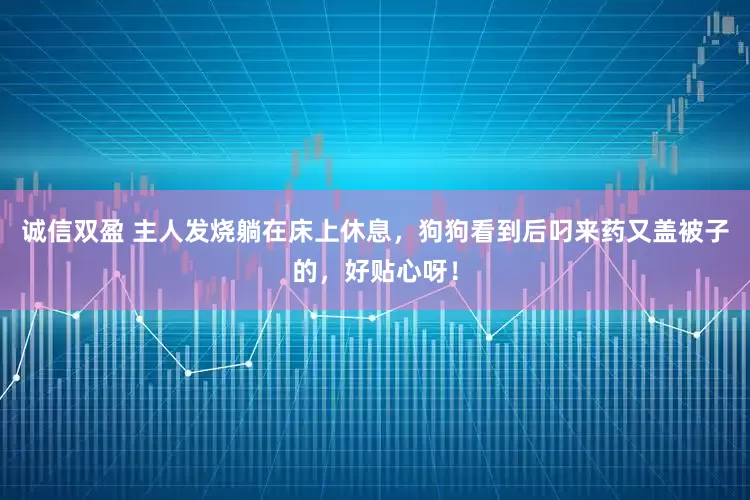 誠信雙盈 主人發燒躺在床上休息，狗狗看到后叼來藥又蓋被子的，好貼心呀！