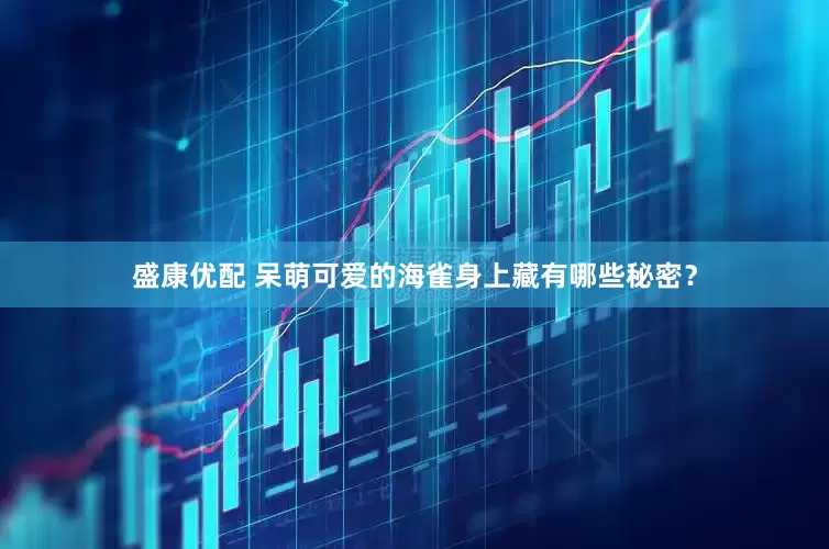 盛康優(yōu)配 呆萌可愛的海雀身上藏有哪些秘密？